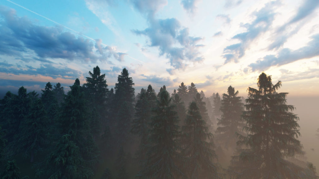 Why I use Douglas Fir for my DIY furniture projects DIY projects plans