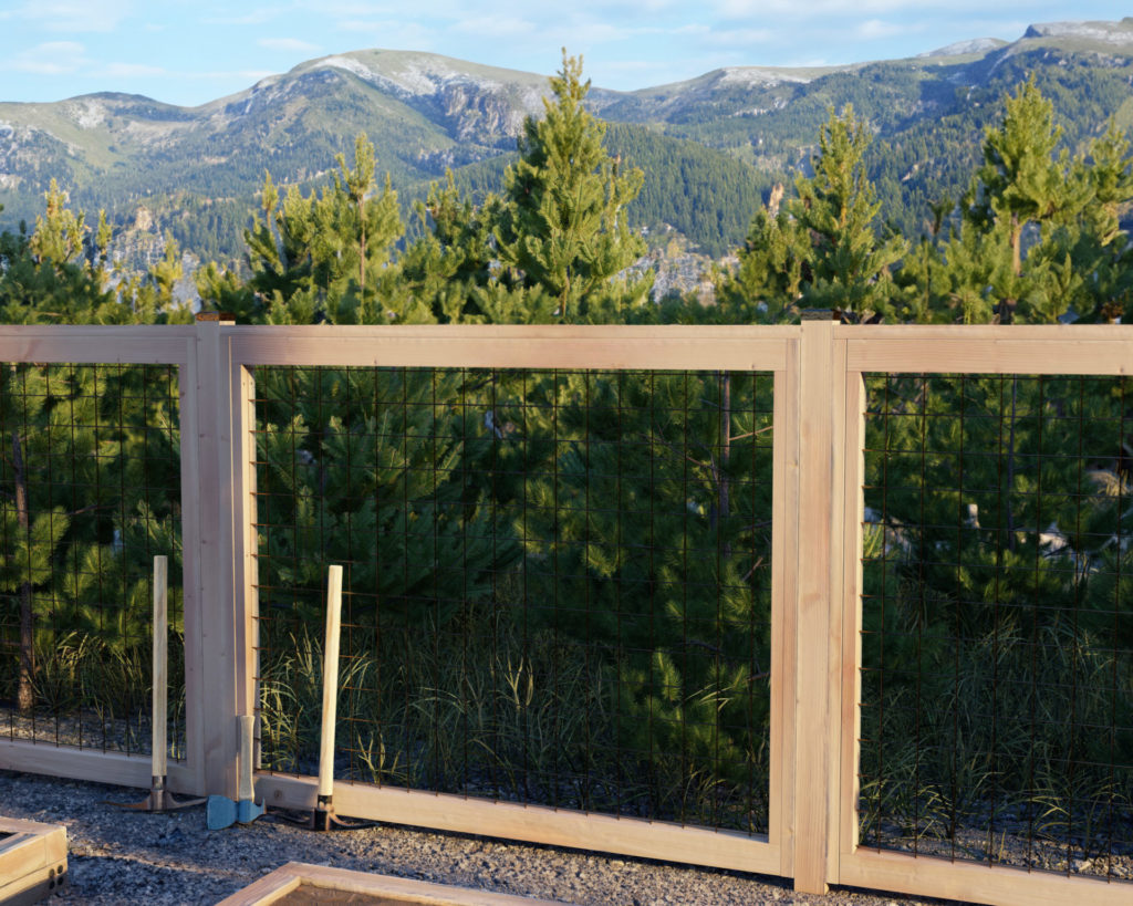 A durable black metal Hog Wire fence positioned in a backyard, beautifully contrasting with the pine forest mountain in the background.