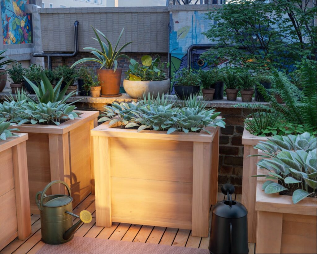 A serene rooftop garden with wooden planter boxes filled with an assortment of succulents and leafy plants at dusk.